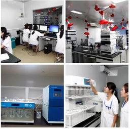 公司新聞 新藥與醫療器械一站式綜合服務CRO平臺發布